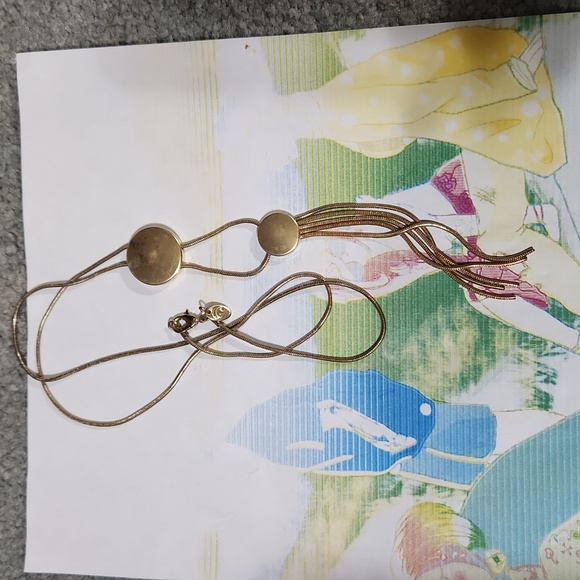 Charming Charlie tassel necklace - Picture 5 of 5